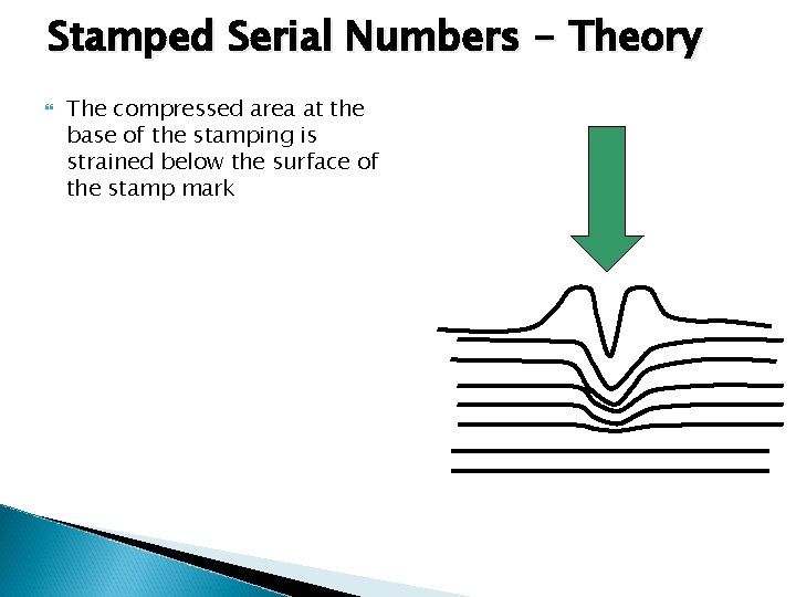 Stamped Serial Numbers - Theory The compressed area at the base of the stamping