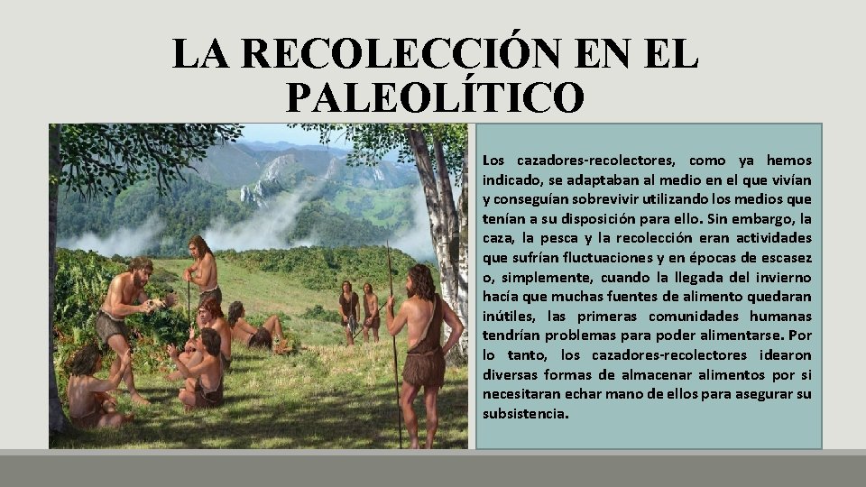 LA RECOLECCIÓN EN EL PALEOLÍTICO Los cazadores-recolectores, como ya hemos indicado, se adaptaban al