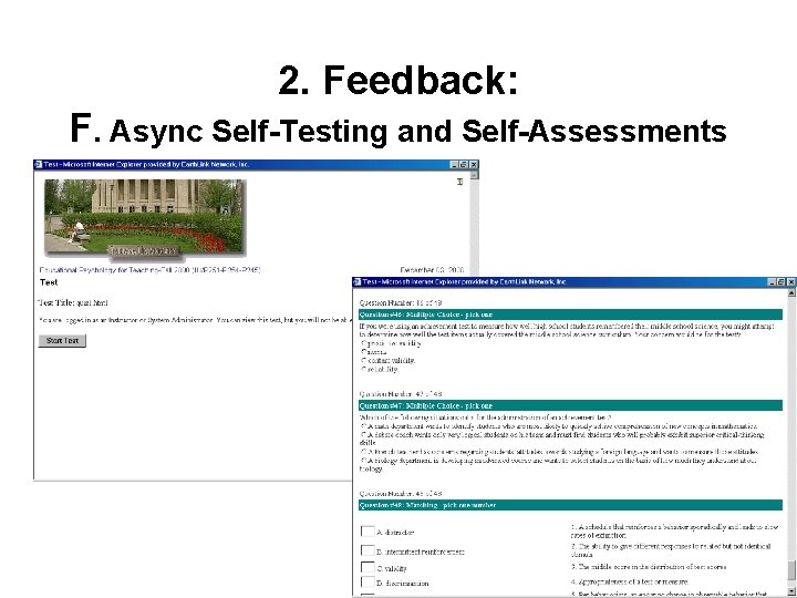 2. Feedback: F. Async Self-Testing and Self-Assessments 