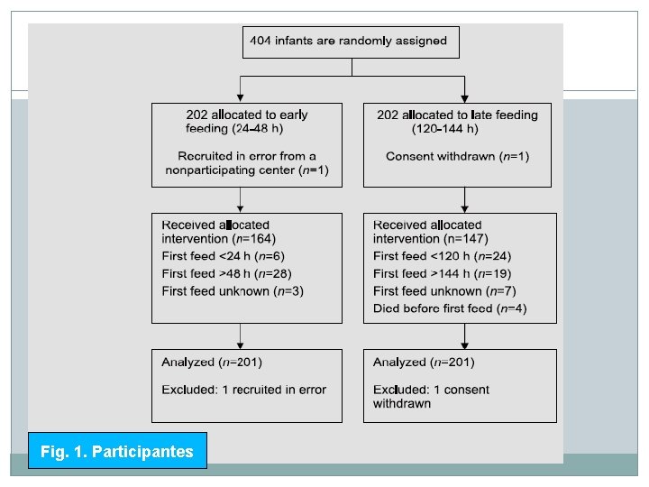 Fig. 1. Participantes 