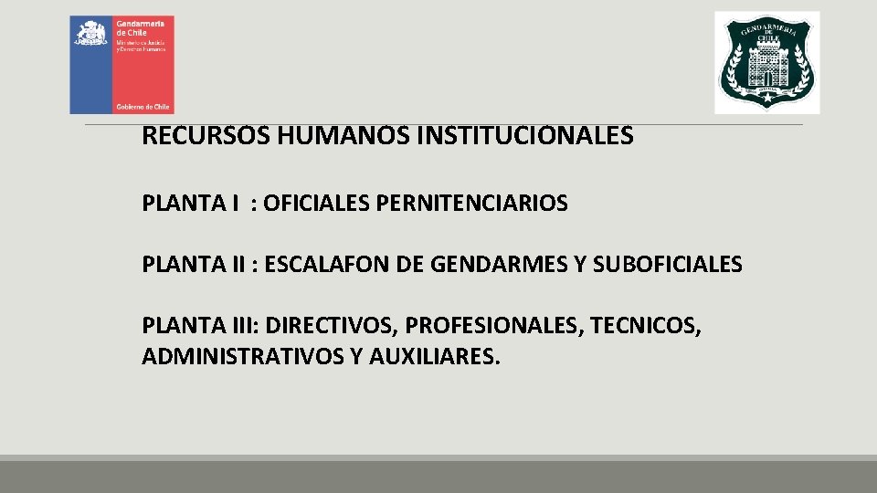  RECURSOS HUMANOS INSTITUCIONALES PLANTA I : OFICIALES PERNITENCIARIOS PLANTA II : ESCALAFON DE