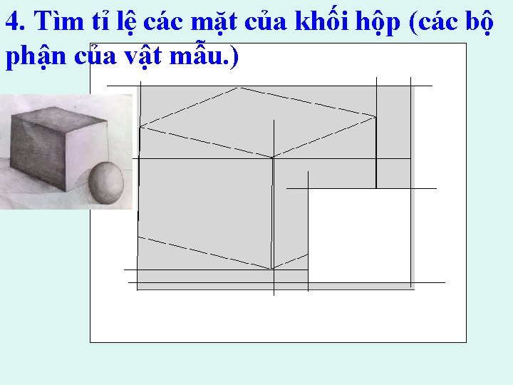 4. Tìm tỉ lệ các mặt của khối hộp (các bộ phận của vật