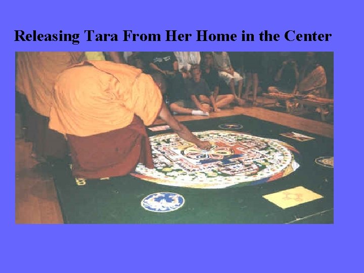 Releasing Tara From Her Home in the Center 