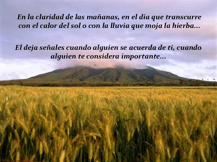 En la claridad de las mañanas, en el día que transcurre con el calor
