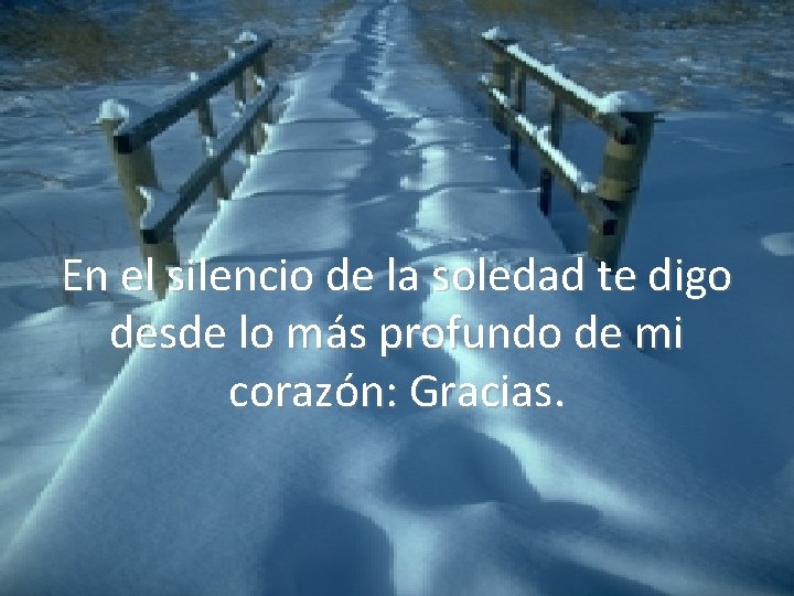 En el silencio de la soledad te digo desde lo más profundo de mi