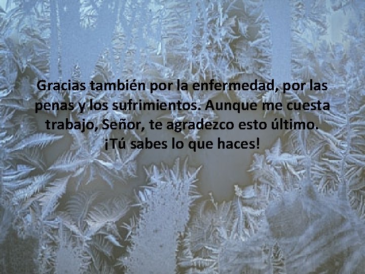 Gracias también por la enfermedad, por las penas y los sufrimientos. Aunque me cuesta