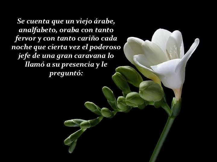 Se cuenta que un viejo árabe, analfabeto, oraba con tanto fervor y con tanto