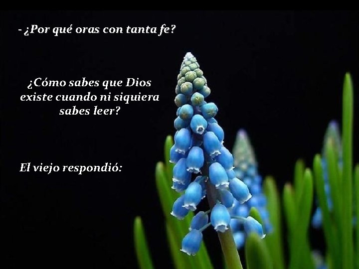 - ¿Por qué oras con tanta fe? ¿Cómo sabes que Dios existe cuando ni