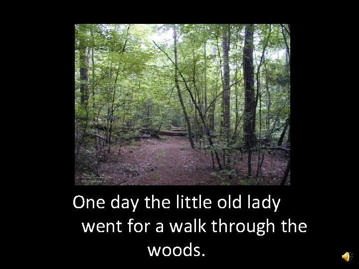 One day the little old lady went for a walk through the woods. 