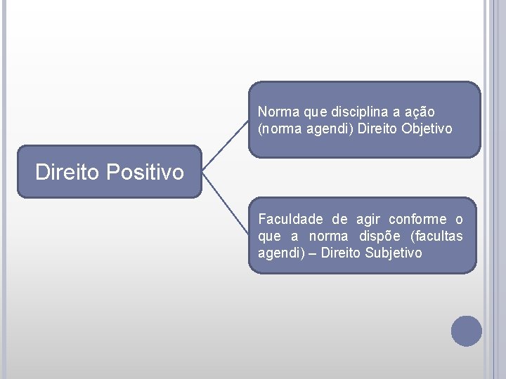 Norma que disciplina a ação (norma agendi) Direito Objetivo Direito Positivo Faculdade de agir