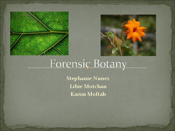 Forensic Botany Stephanie Nunez Libie Motchan Karim Moftah 