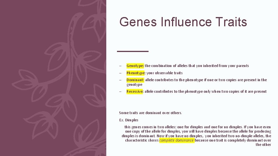 Genes Influence Traits – Genotype: the combination of alleles that you inherited from your Genes Influence Traits – Genotype: the combination of alleles that you inherited from your