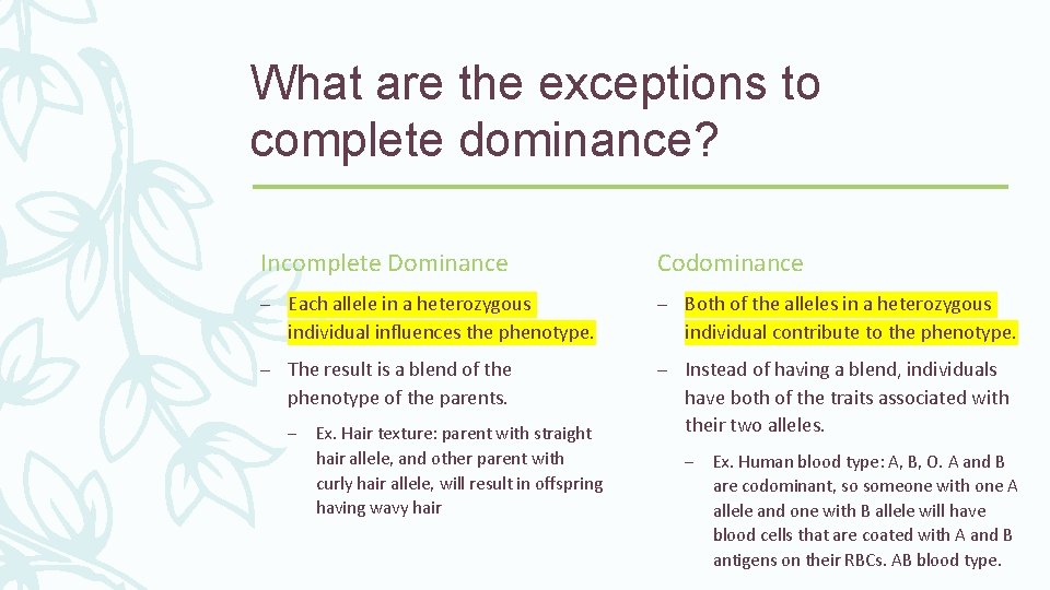What are the exceptions to complete dominance? Incomplete Dominance Codominance – Each allele in What are the exceptions to complete dominance? Incomplete Dominance Codominance – Each allele in