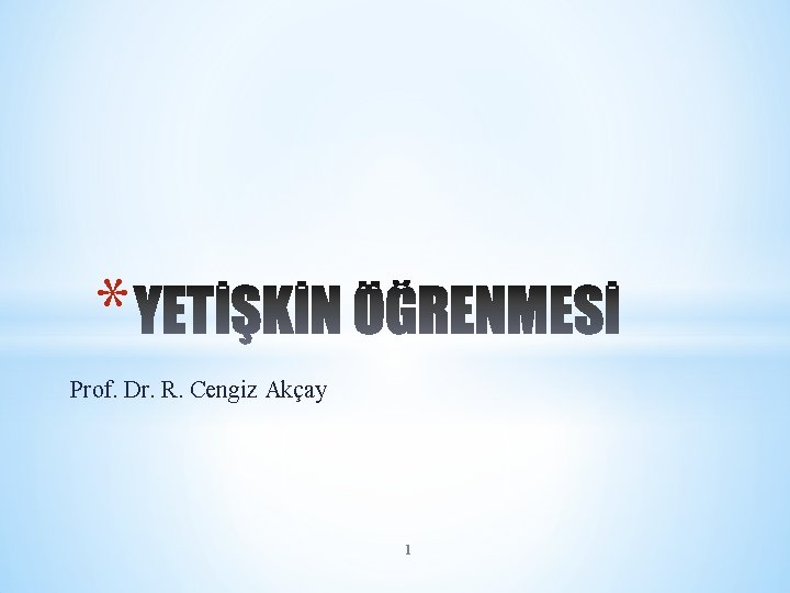 * Prof. Dr. R. Cengiz Akçay 1 