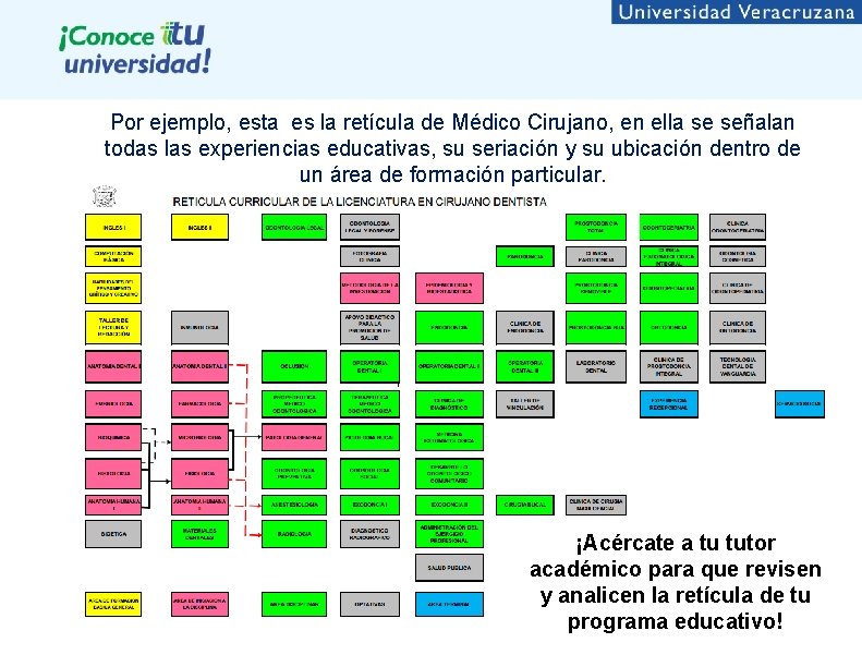 Por ejemplo, esta es la retícula de Médico Cirujano, en ella se señalan todas