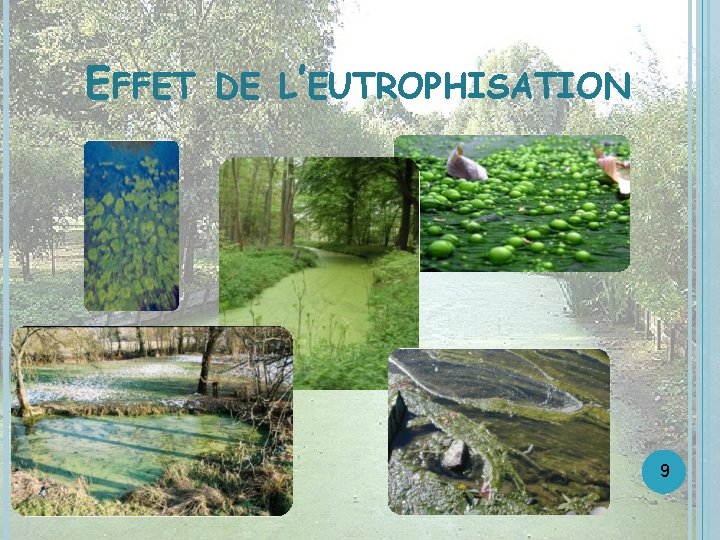 EFFET DE L’EUTROPHISATION 9 