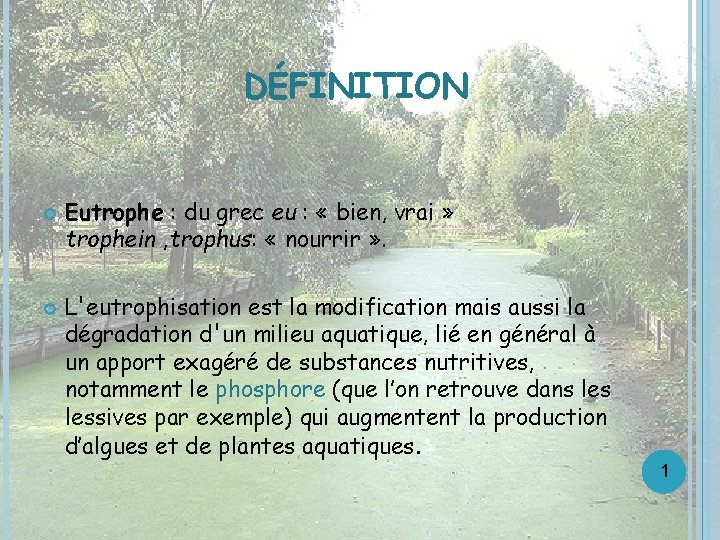 DÉFINITION Eutrophe : du grec eu : « bien, vrai » trophein , trophus: