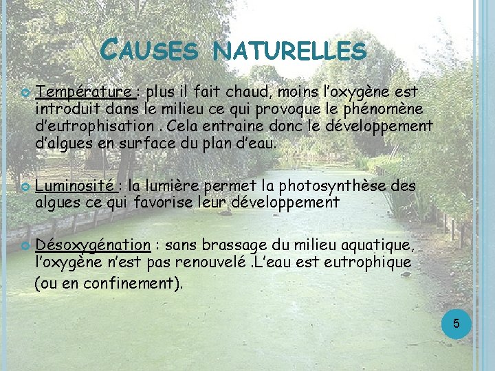 CAUSES NATURELLES Température : plus il fait chaud, moins l’oxygène est introduit dans le