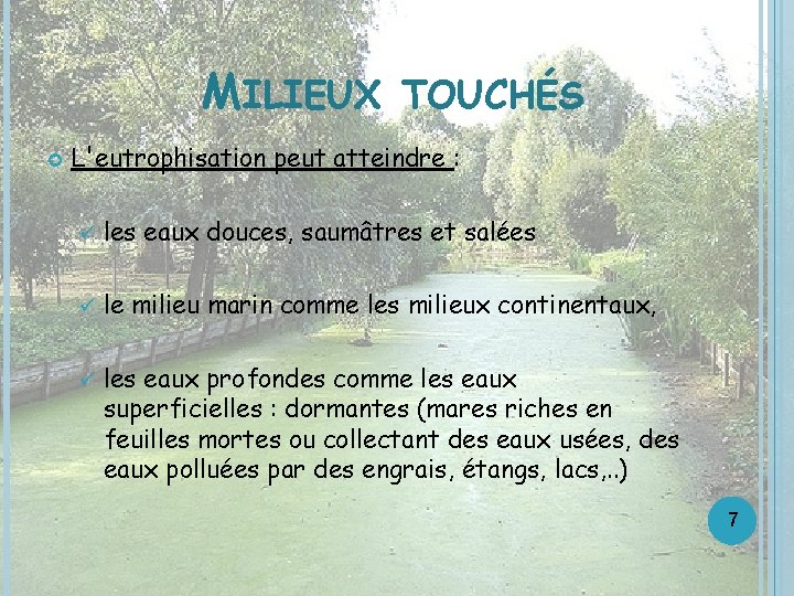 MILIEUX TOUCHÉS L'eutrophisation peut atteindre : ü les eaux douces, saumâtres et salées ü