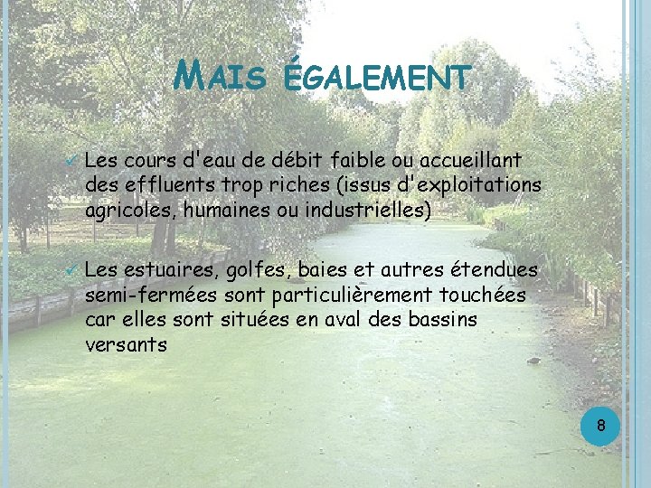 MAIS ÉGALEMENT ü Les cours d'eau de débit faible ou accueillant des effluents trop