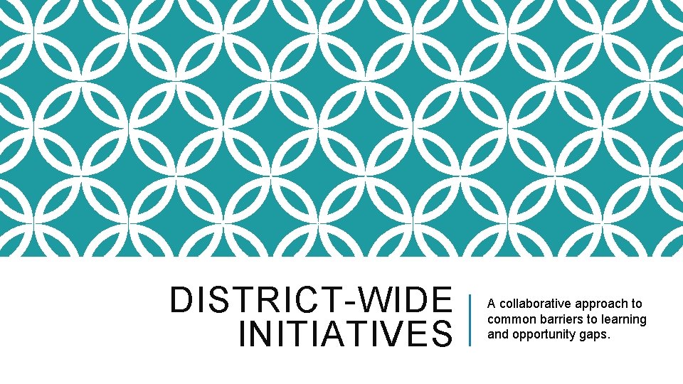 DISTRICT-WIDE INITIATIVES A collaborative approach to common barriers to learning and opportunity gaps. 