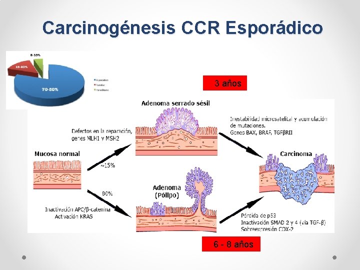  Carcinogénesis CCR Esporádico 3 años 6 - 8 años 