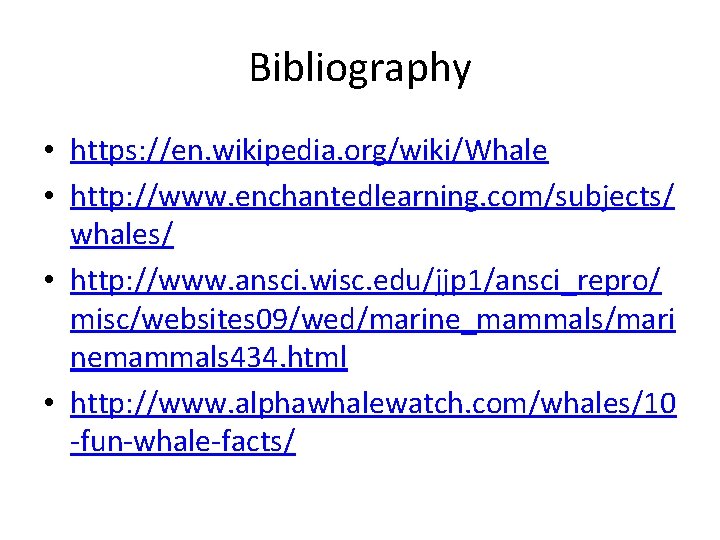 Bibliography • https: //en. wikipedia. org/wiki/Whale • http: //www. enchantedlearning. com/subjects/ whales/ • http: