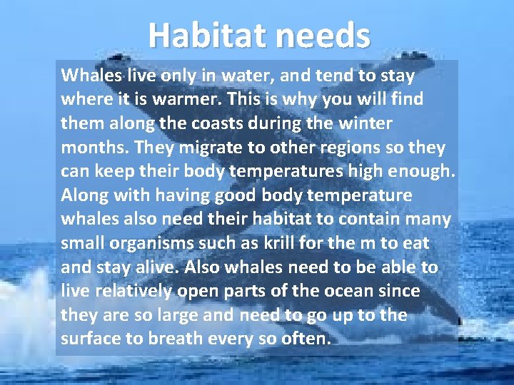Habitat needs Whales live only in water, and tend to stay where it is