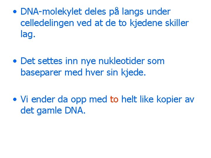  • DNA-molekylet deles på langs under celledelingen ved at de to kjedene skiller