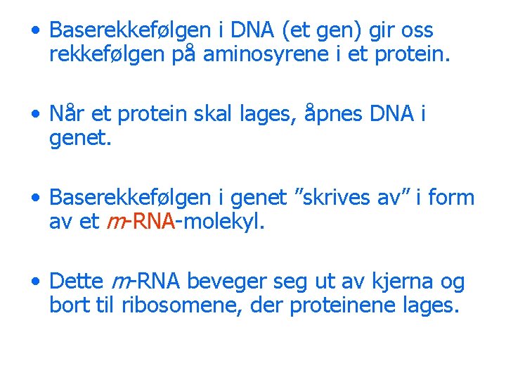  • Baserekkefølgen i DNA (et gen) gir oss rekkefølgen på aminosyrene i et
