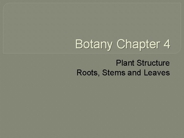 Botany Chapter 4 Plant Structure Roots, Stems and Leaves 