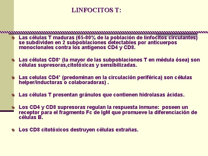 LINFOCITOS T: Las células T maduras (65 -80% de la población de linfocitos circulantes)