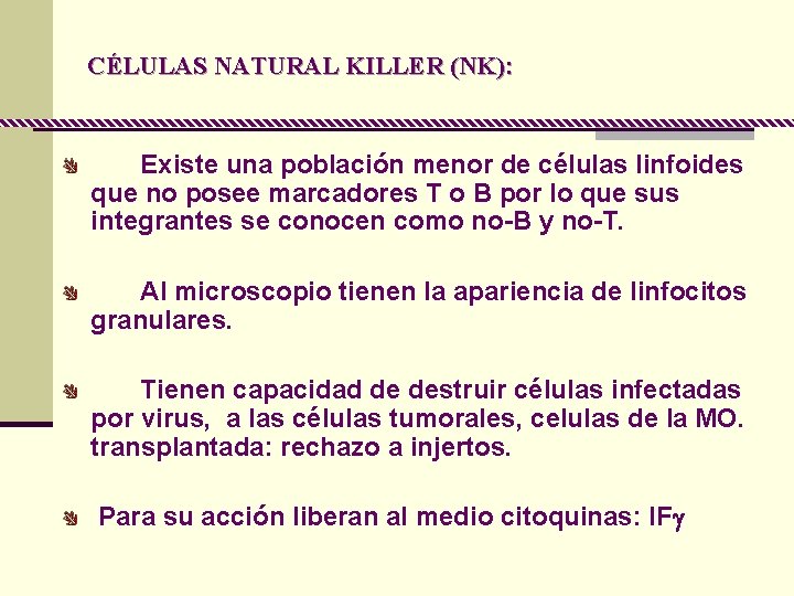 CÉLULAS NATURAL KILLER (NK): Existe una población menor de células linfoides que no posee