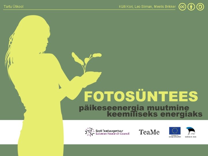 Tartu Ülikool Külli Kori, Leo Siiman, Meelis Brikker 