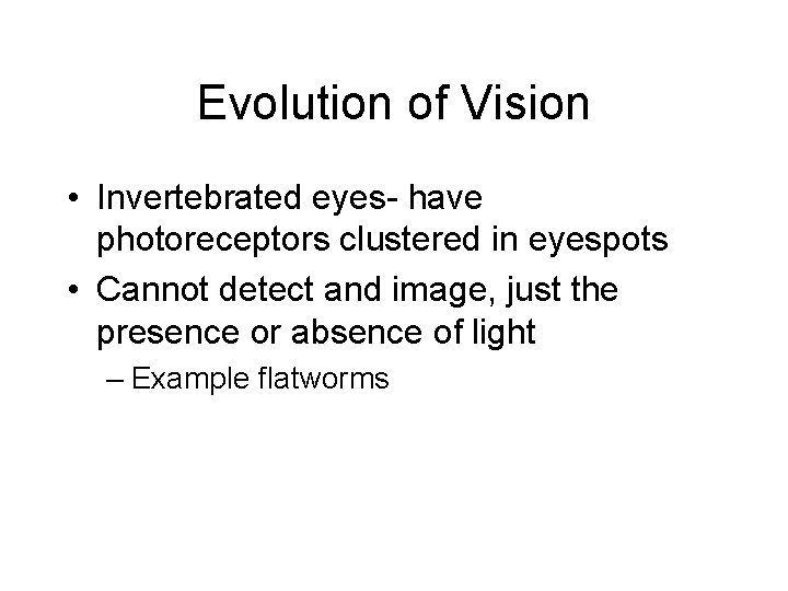 Evolution of Vision • Invertebrated eyes- have photoreceptors clustered in eyespots • Cannot detect