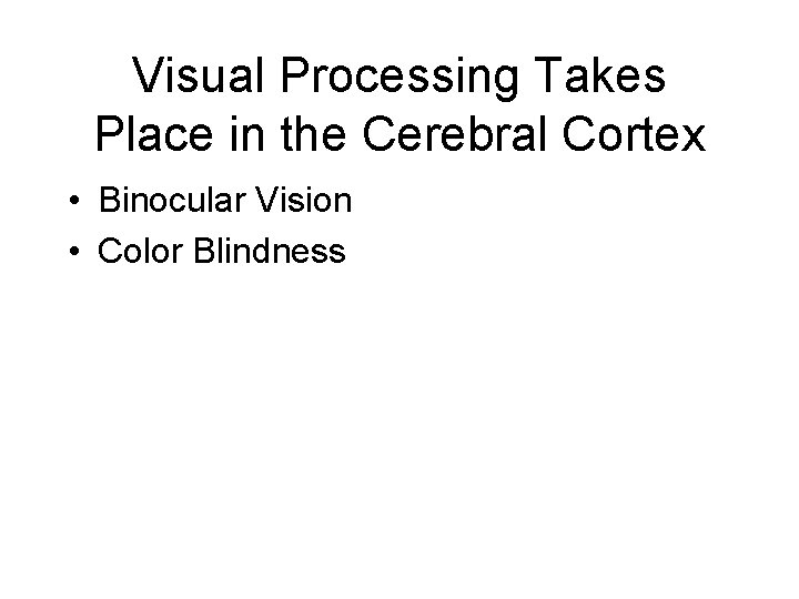 Visual Processing Takes Place in the Cerebral Cortex • Binocular Vision • Color Blindness