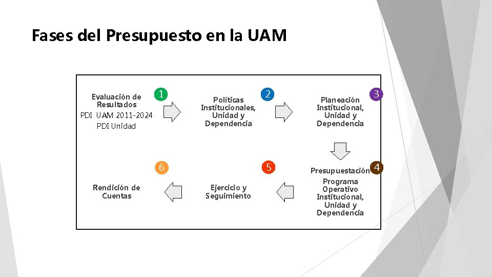 Fases del Presupuesto en la UAM Evaluación de Resultados PDI UAM 2011 -2024 PDI