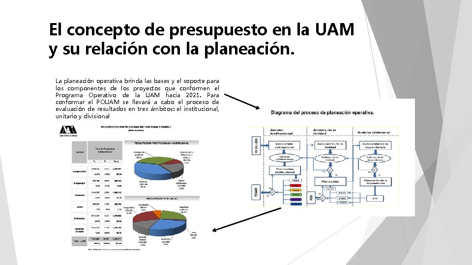 El concepto de presupuesto en la UAM y su relación con la planeación. La