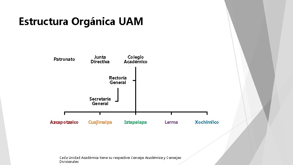 Estructura Orgánica UAM Patronato Junta Directiva Colegio Académico Rectoría General Secretaría General Azcapotzalco Cuajimalpa