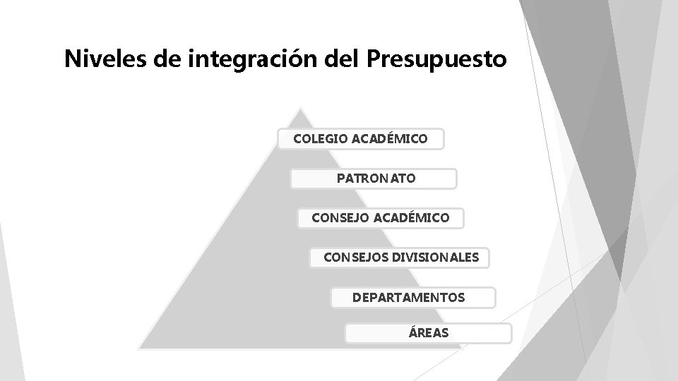 Niveles de integración del Presupuesto COLEGIO ACADÉMICO PATRONATO CONSEJO ACADÉMICO CONSEJOS DIVISIONALES DEPARTAMENTOS ÁREAS