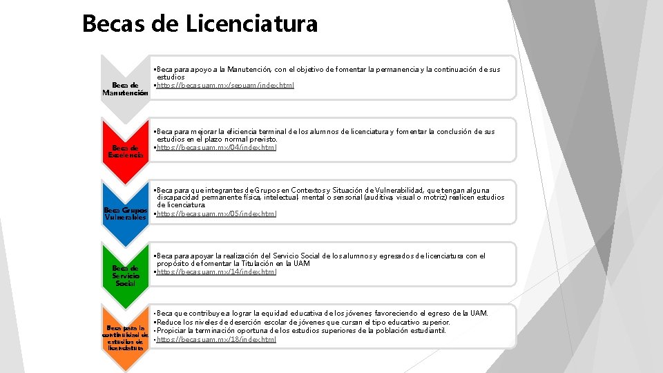 Becas de Licenciatura Beca de Manutención Beca de Excelencia • Beca para apoyo a