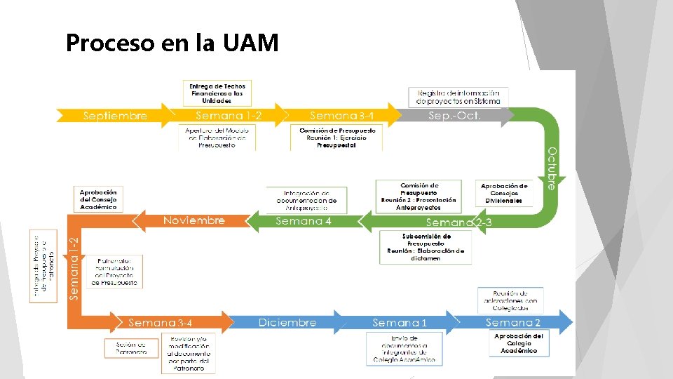 Proceso en la UAM 