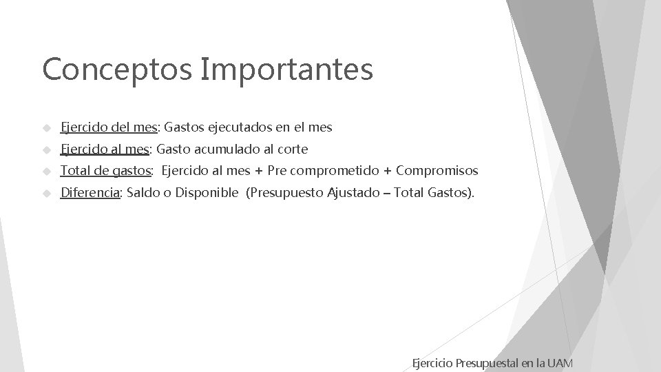 Conceptos Importantes Ejercido del mes: Gastos ejecutados en el mes Ejercido al mes: Gasto