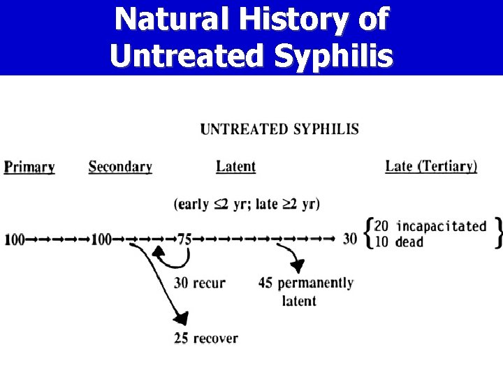 Natural History of Untreated Syphilis 