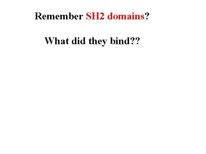 Remember SH 2 domains? What did they bind? ? 