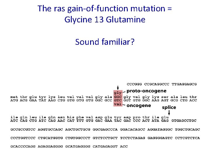 The ras gain-of-function mutation = Glycine 13 Glutamine Sound familiar? 
