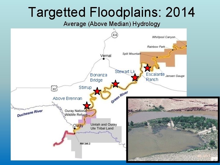 Targetted Floodplains: 2014 Average (Above Median) Hydrology Bonanza Bridge Stirrup Above Brennan Stewart Lk