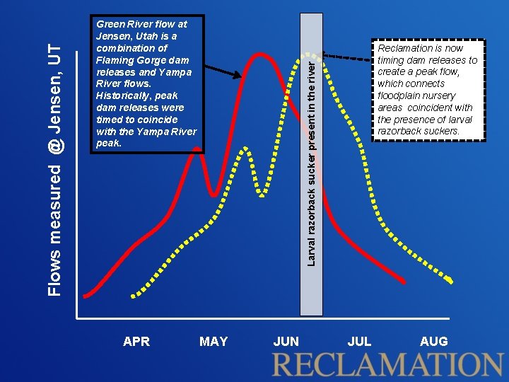 APR Reclamation is now timing dam releases to create a peak flow, which connects
