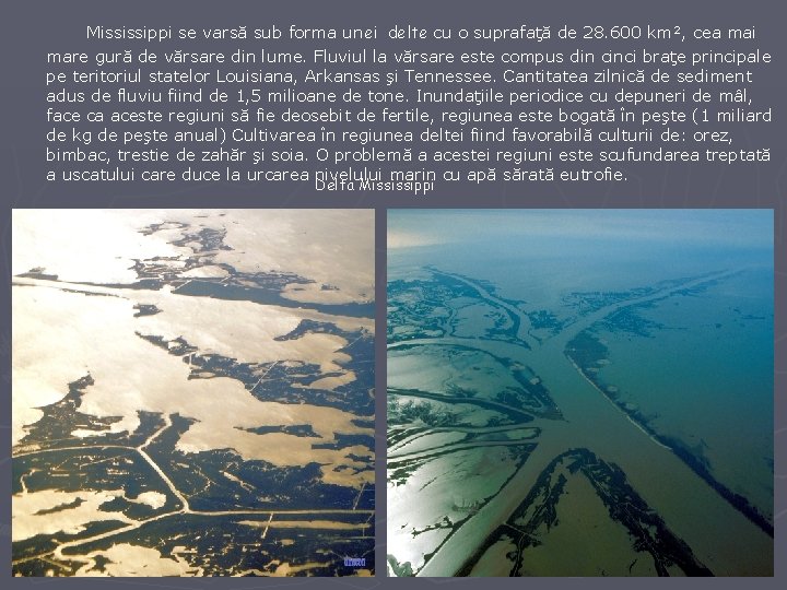 Mississippi se varsă sub forma unei delte cu o suprafaţă de 28. 600 km²,