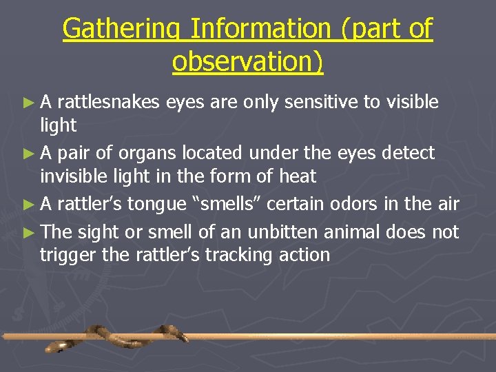 Gathering Information (part of observation) ►A rattlesnakes eyes are only sensitive to visible light